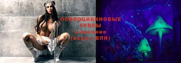 apvp Абинск