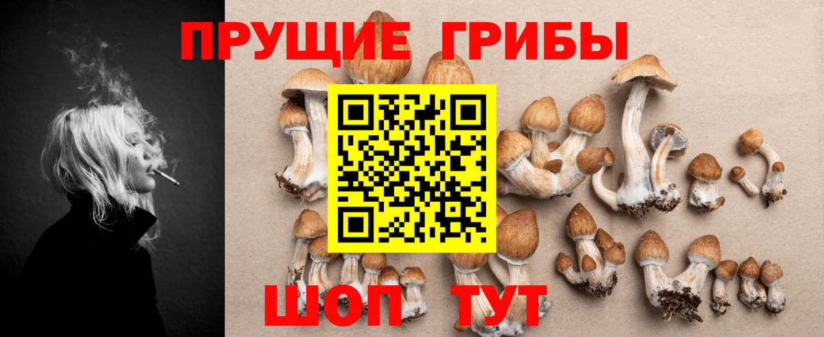 Галлюциногенные грибы Psilocybine cubensis  Вход с VPN  Энгельс 