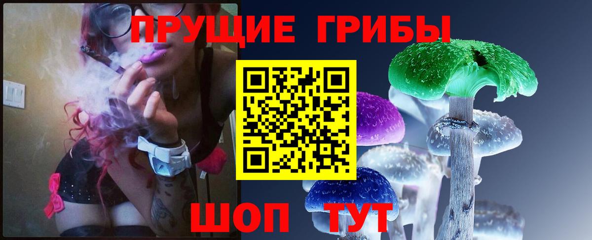 Галлюциногенные грибы прущие грибы Энгельс